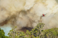 Coulson_737_FireLiner_DFES_3