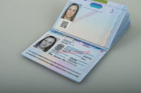 Passi2023_aukeama_viisto