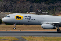 Yamamoto_closeup