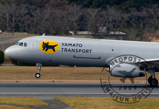 Yamamoto_closeup