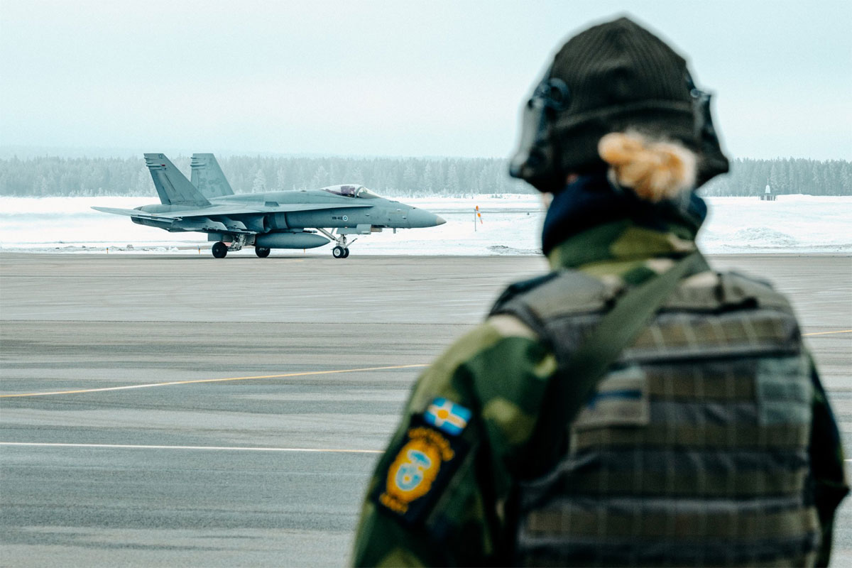 Hornet_Kallax_1