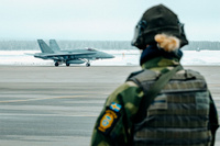 Hornet_Kallax_1