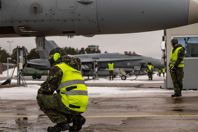 Hornet_Kallax_2