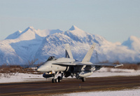 Hornet_Andoyassa_ilmav