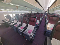 JAL_preeco_1