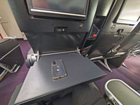 JAL_preeco_table