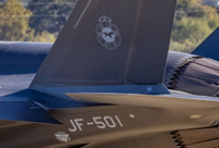 JF501_kotka_closeup