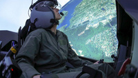 F35_sim2_LM