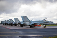 CF188_Hornetit