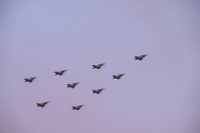 FB_IMG_1733826910794